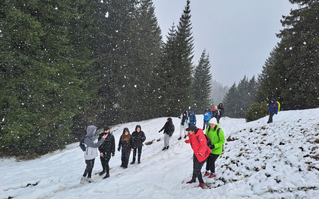 Une marche pour sensibiliser à la préservation de la flore locale