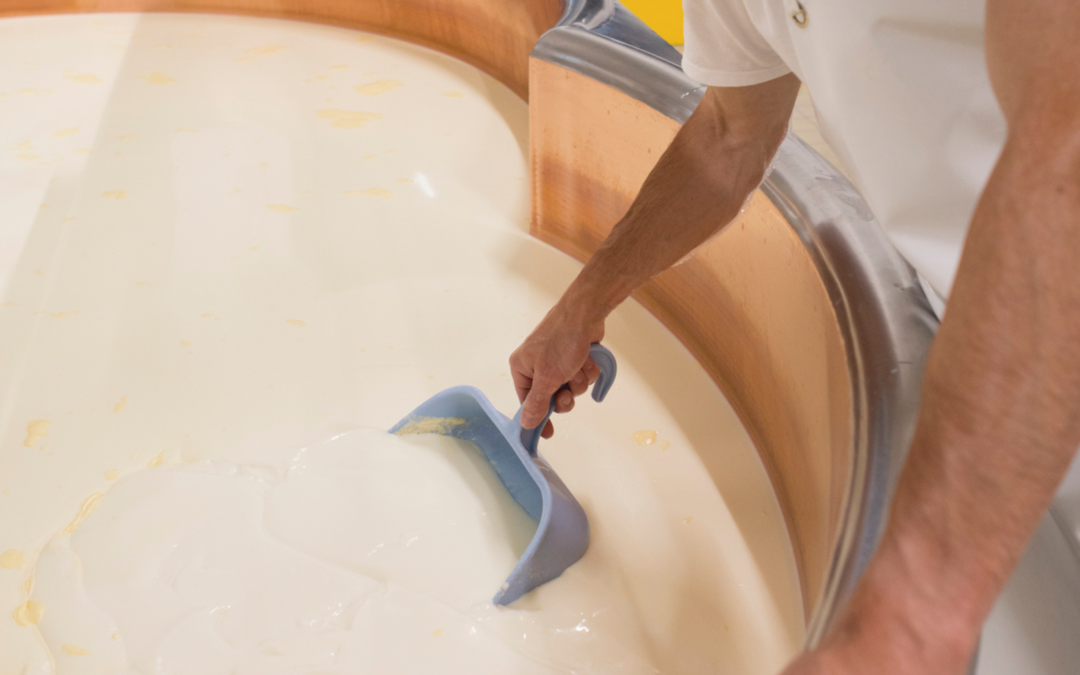 Formateur(trice) en transformations laitières et fromagères