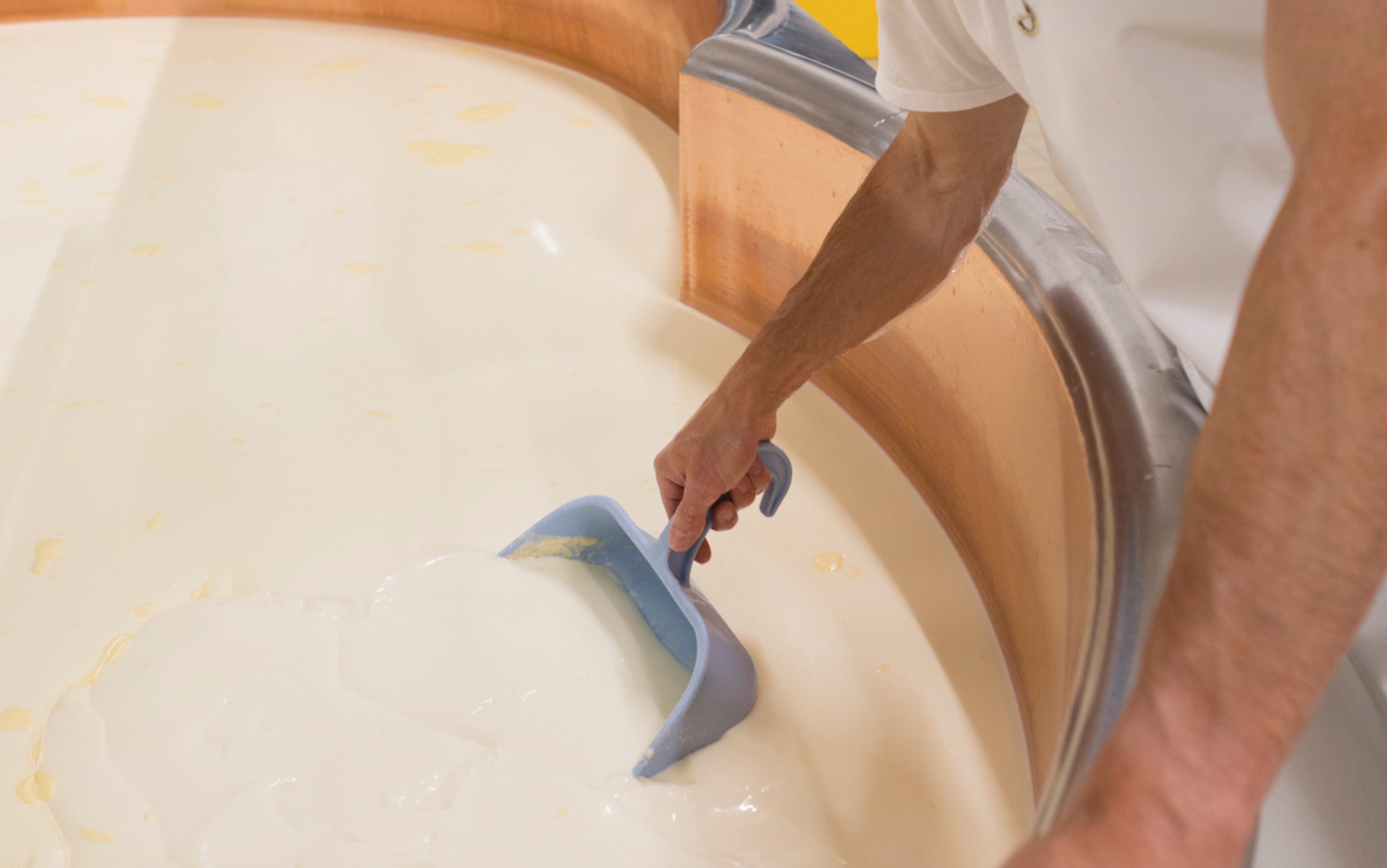 Formateur(trice) en transformations laitières et fromagères